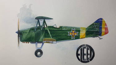 Romanian Fleet f-10g. Watercolors