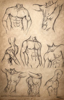 Male Body Sketches