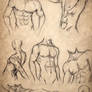 Male Body Sketches