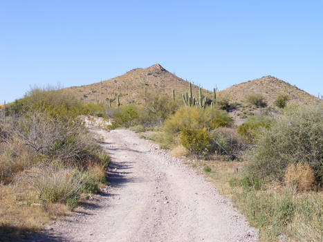 Desert Road