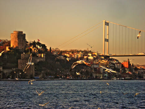 In Istanbul... -10-