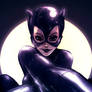 The Catwoman