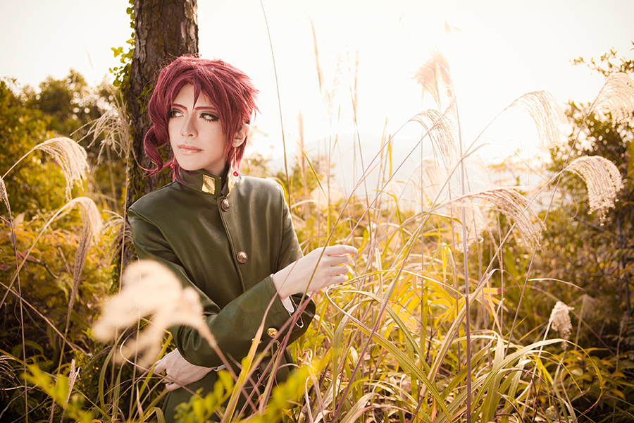 kakyoin noriaki 02