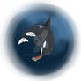 Orca Sticker