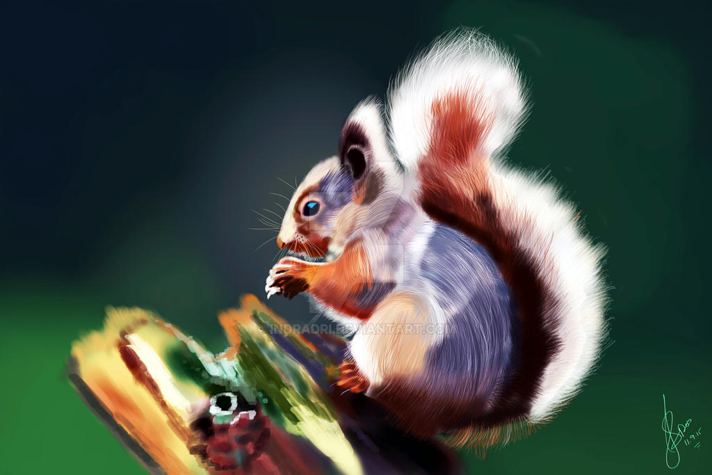 Deviantart Risumon Squirrel Squirrel by Indradri on DeviantArt