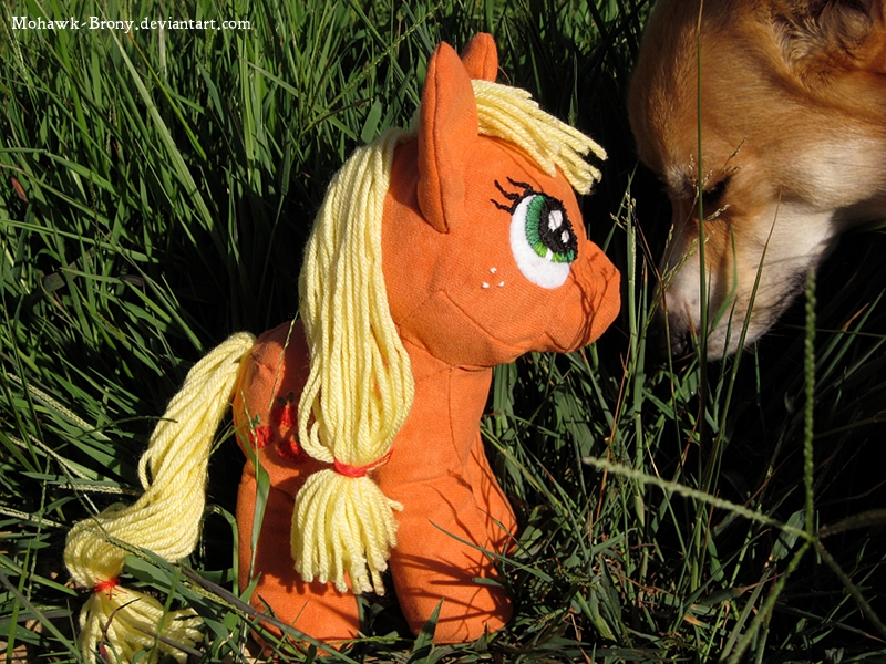 Applejack + Corgi