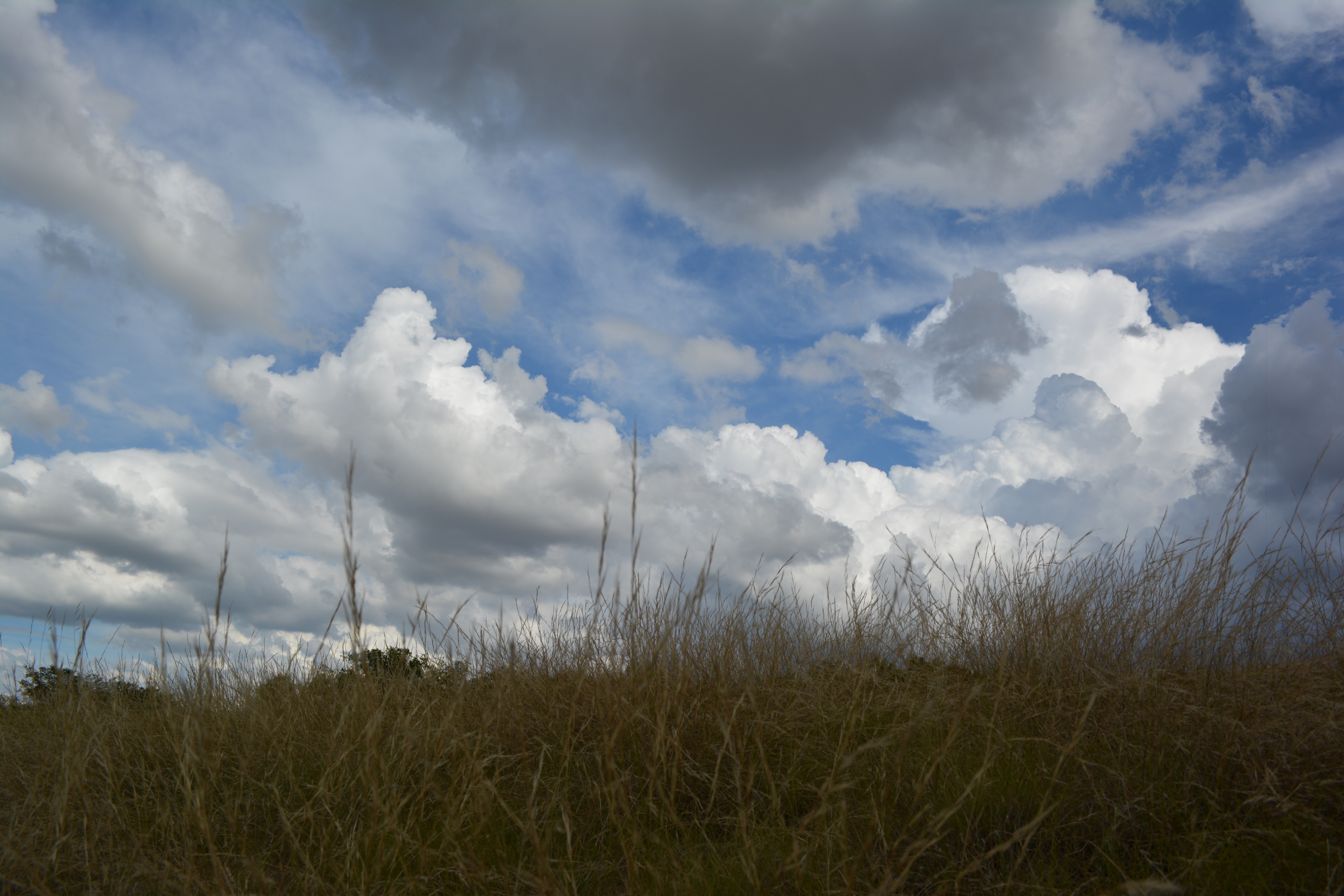 Cloud n dry grass 2