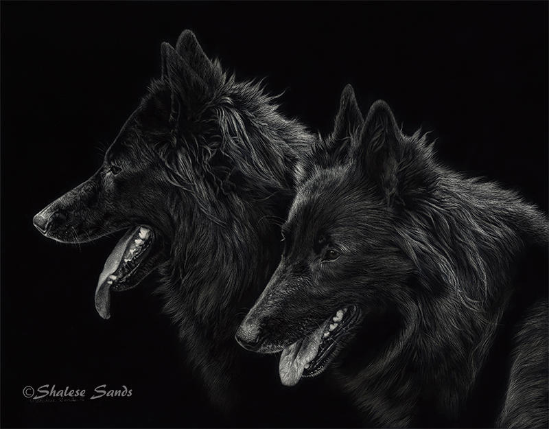 Trilogy and Nova - Scratchboard by ShaleseSands