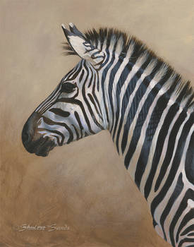 Zebra Portrait - Acrylic Painting