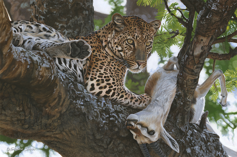 Mwindaji (Swahili for The Hunter) by ShaleseSands