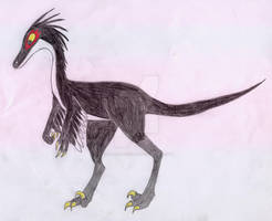 Male Troodon