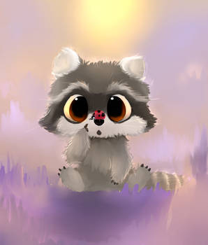 Raccoon