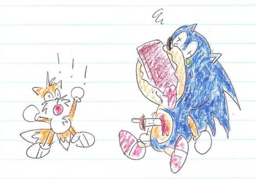 SONIC'S TRIBUT kassichu