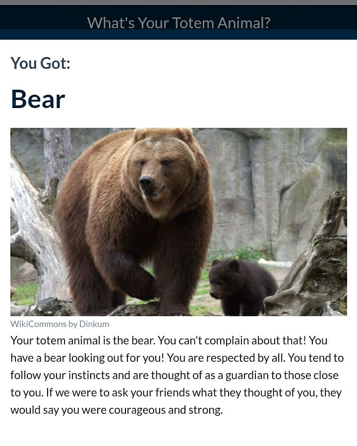 My totem is a bear? by KatiAmel on DeviantArt My totem is a bear? by KatiAmel on DeviantArt