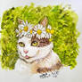 Flower Crown Cat