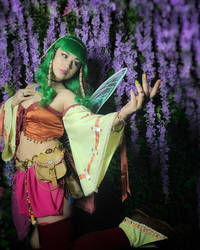 Follow me for Adventure