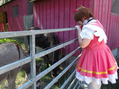 Cardcaptor Sakura Animal Fun