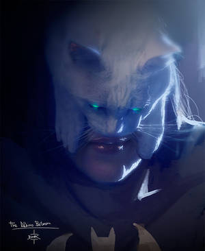 Blanki Txelo Albino Batman by Dumaker Blanki Txelo Albino Batman by Dumaker