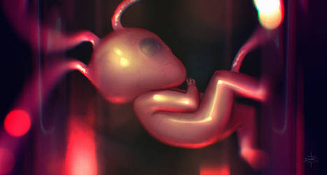 Embryo by Dumaker