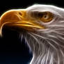 Fractal Bald Eagle