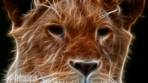 Fractal Lion #02