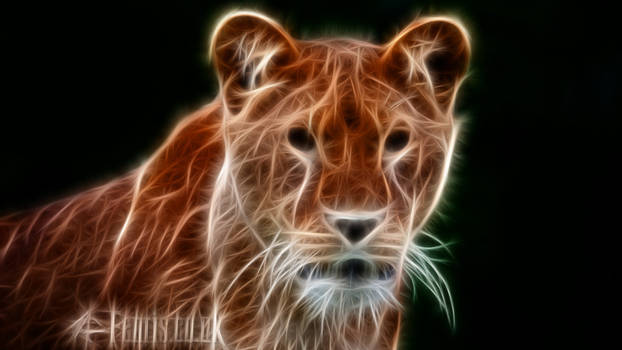 Fractal Lion #04