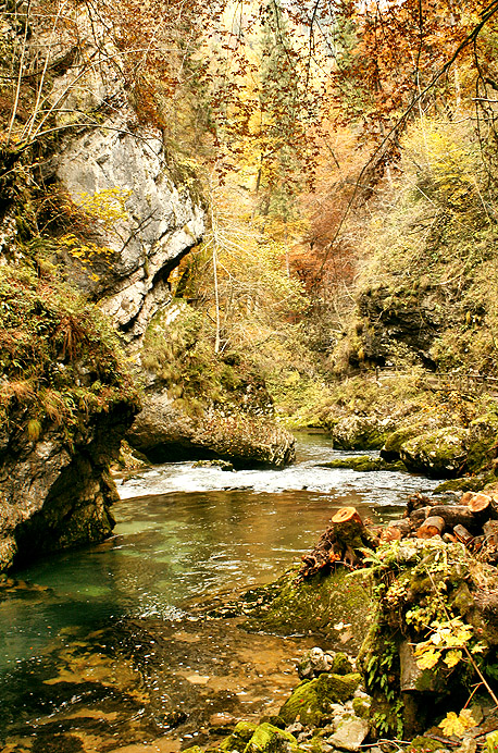 Vintgar in autumn