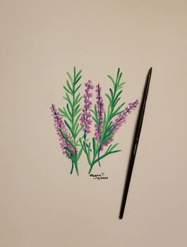 Rosemary lavender