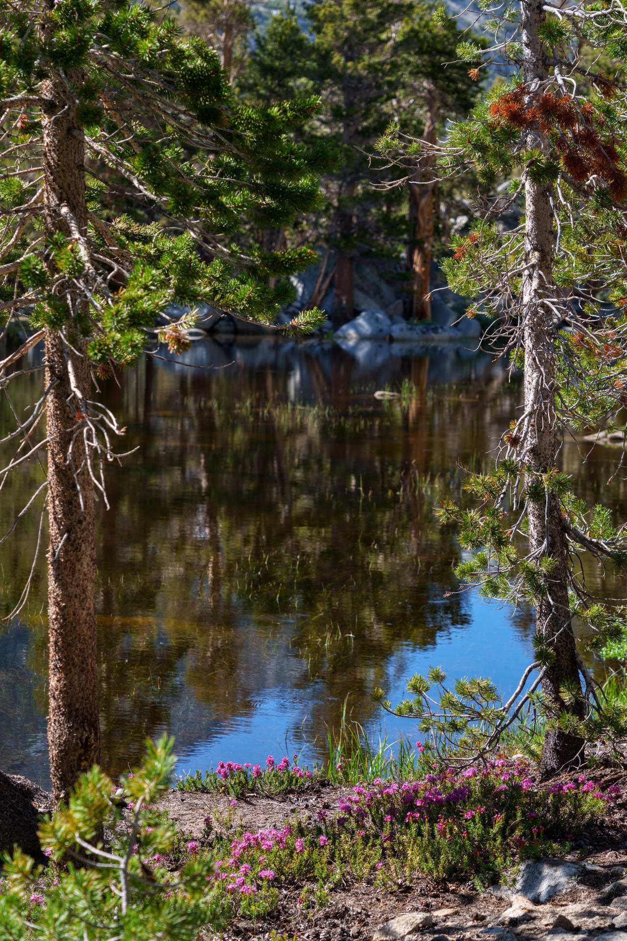 Window of Calm by Omnibug on DeviantArt