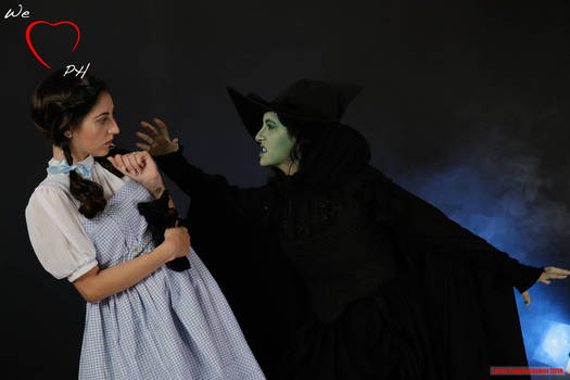 dorothy and the wicked witch of the west