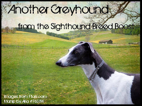 Sighthound Breed Boost