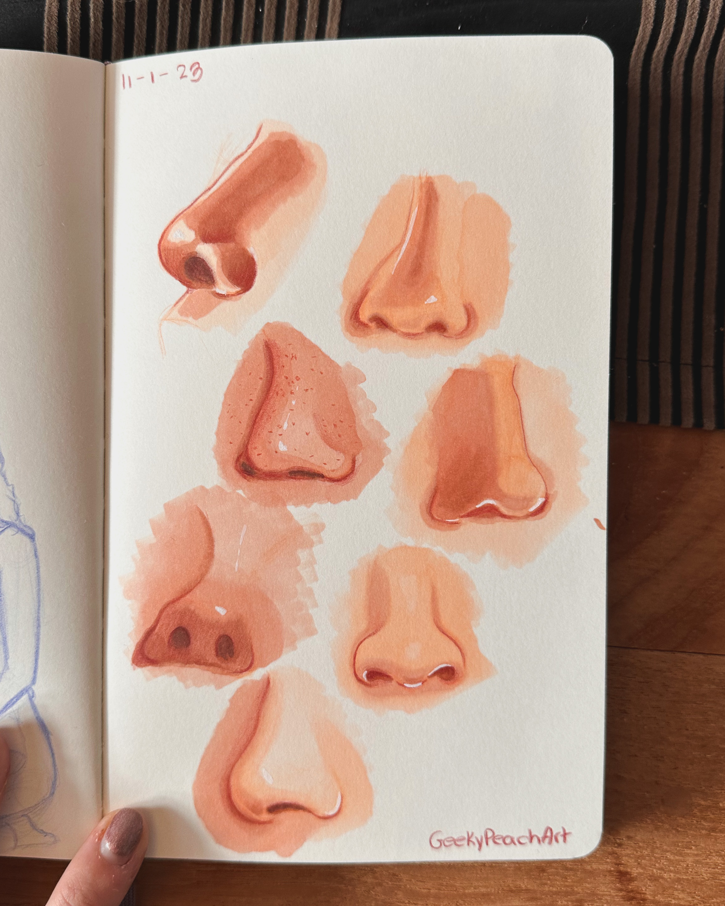 Nose anatomy study in alcohol markers by GeekyPeachArt on DeviantArt