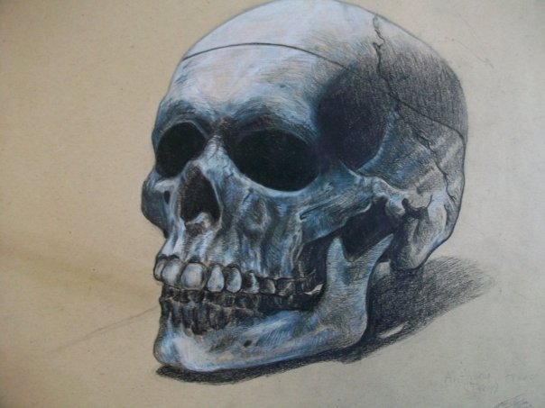 Skull