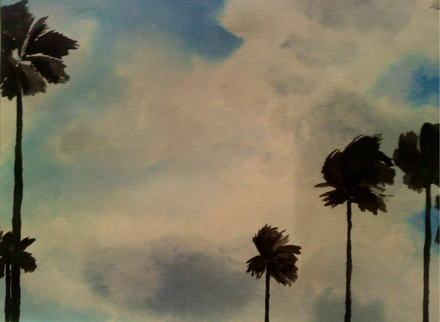 palm trees and the sky