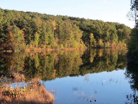 Fall/Pond