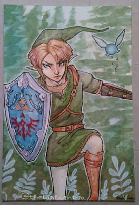 Legend Of Zelda-Link!