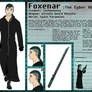 Character Sheet: Foxenar