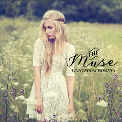The Muse - 20 Lightroom Presets