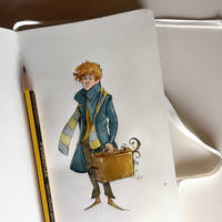 Notes and sketches | Newt Scamander