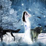 Queen of Wolves