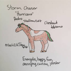 5218- RRS Storm Chaser