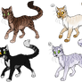 Cat Adopts 4 (2/4 OPEN)