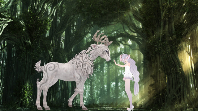 Magical Forest Encounter