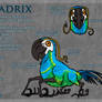 The Quadrix: Ref