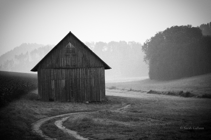 Misty morning