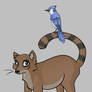 Just some regular animals
