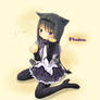 PUELLA MAGI MADOKA MAGICA -Homhom-