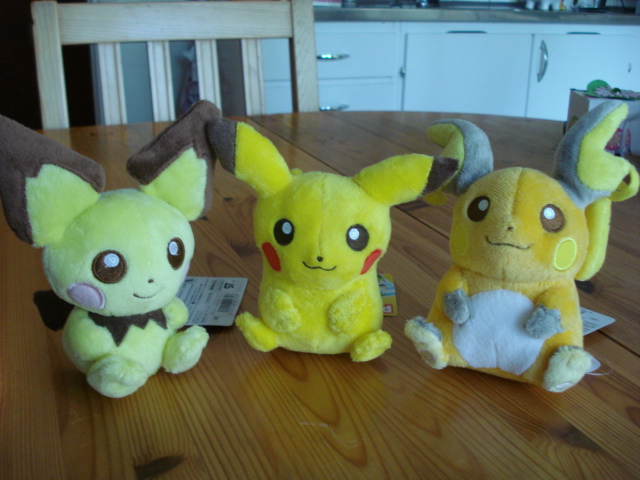 Pokemon Canvas plush