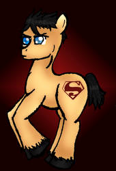 Young justice: Ponified Superboy