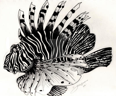 lionfish sketch